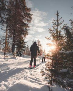 Cross country ski